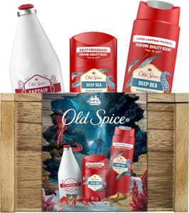 Old Spice Treasure Chest: Deep Sea Deodorant and Shower Gel