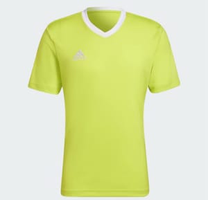 Adidas Entrada 22 Jersey
