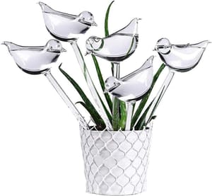 Amoyeric 5 Pack Bird-Shaped Self-Watering Globes