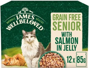 James Wellbeloved Grain Free Adult Cat Food with Salmon in Jelly - 12 X 85g