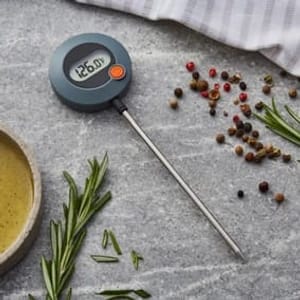 Digital Food Thermometer - Celsius/Fahrenheit