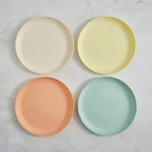 Set of 4 Multicoloured Plastic Plates