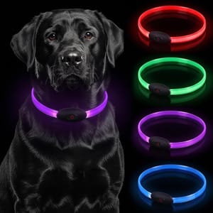 USB Rechargeable LED Dog Collar with 3 Light Modes