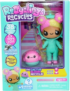 Recyclings and Recyclies