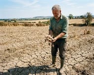 Rising Grocery Costs Expected as UK Drought Impacts Potato Harvest and Sizes