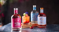 Win Your Wedding Toast for 180 Guests