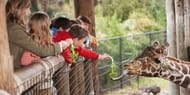 Flamingo Land Winter Zoo Family Pass
