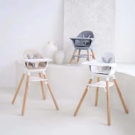 6 in 1 High Chair
