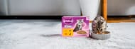 Free WHISKAS Kitten Food Sample