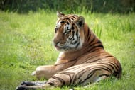 Knowsley FREE ENTRY for ALL DAVIDS FRIDAY 8TH MAY 2026