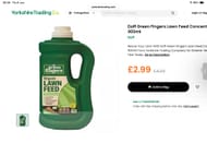 Doff Green Fingers Lawn Feed Concentrate 900ml