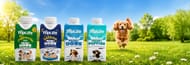 WIN Six Months of Milk for Dogs plus a TopLife Bundle of Treats & Merch!
