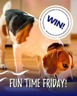 Win Any 20 NbN Mixes up to the Value of £54