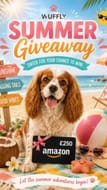 Win a Dog Bed and More