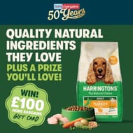 Win a £100 Home Bargains Voucher!