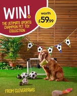 Win the Ultimate Sports Champion Pet Toy Collection worth £59.99!
