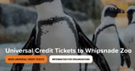 Reduced Tickets to Whipsnade Zoo if Your on Selected Benefits