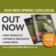Free Really Wild Bird Food Co Catalogue