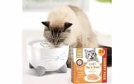 Win a Catit PIXI Stainless Steel Drinking Fountain