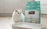 Win 2 Bags of Colour-Changing Health Monitoring Cat Litter