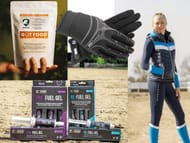 Win 1 of 17 Horse Related Prizes