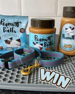 Win the FULL Peamutt Butter Range & a Scrufts Collar of Your Choice