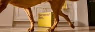 Win £100 worth of dog Treats, Chews & Wellness Products
