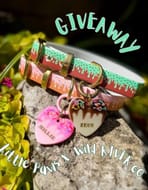 Win an IcePop Hearts Tag plus an Ice Cream Uv Printed Biothane Collar