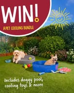 Win a Pet Cooling Bundle!