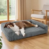 Bedsure Large Orthopedic Dog Bed with Waterproof Memory Foam