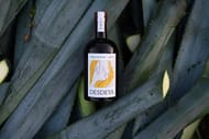 Win Three Bottles of Desdeya Uno Tequila
