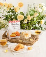 Win La Madeleine Rose Plant + Bonne Maman Hamper
