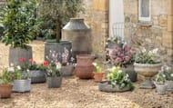Win a £250 Voucher for One.World