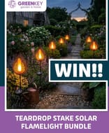 WIN 4 Stunning Elipse Stake Solar Lights