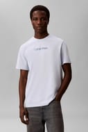 Calvin Klein Standard Logo 30S Crew Neck Tee