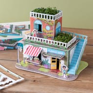 Grow Your Own Cress Garden - Flower Shop