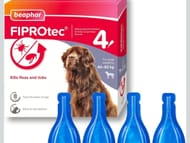 Beaphar - FIPROtec Spot-on Flea & Tick Treatment for Extra Large Dogs 40-60kg