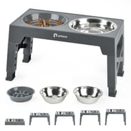 Raised Dog Bowl, 5 Adjustable Heights, 2 Stainless Bowls,