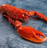 Lobsters