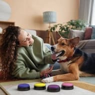 Paws2Talkdog Communication Device