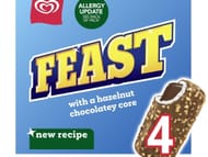 Feast Chocolate & Hazelnut Ice Cream Sticks 4x 90ml