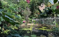Win a Family Membership to Birmingham Botanical Gardens