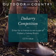 Win a Pair of Dubarry Galway Boots!